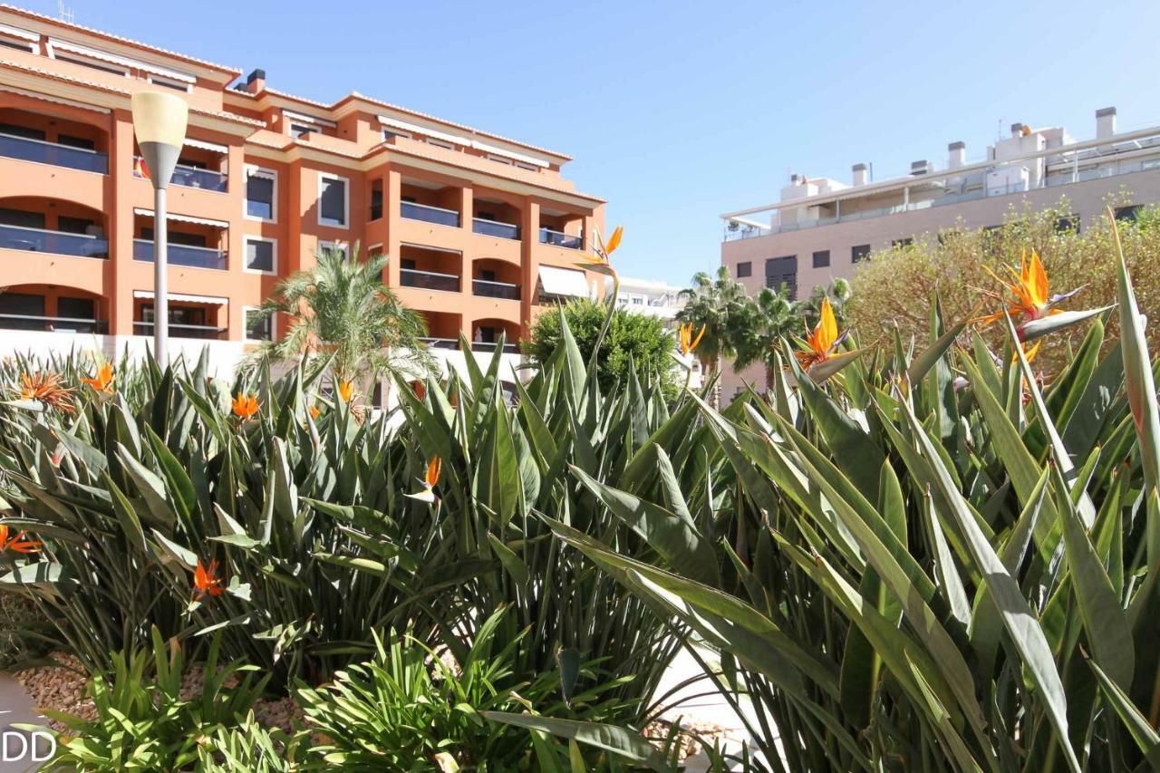 Apartment Jardines Y Mar 德尼亚 外观 照片